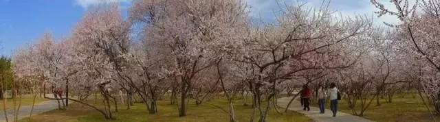 「生活」看到这些遛弯圣地，你还能允许自己晚饭后窝在沙发上长肉吗？