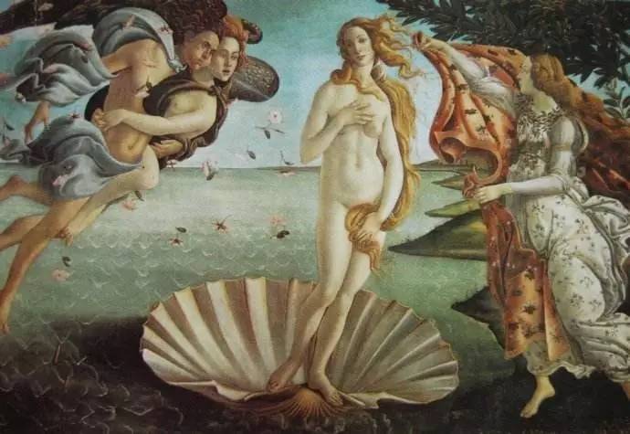 百草园有什么药材,百草园里面有什么草