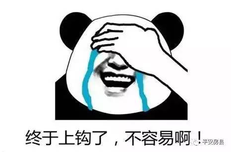 这对房县夫妇跟“大队长”合作大项目等着赚大钱，结果你猜怎样？