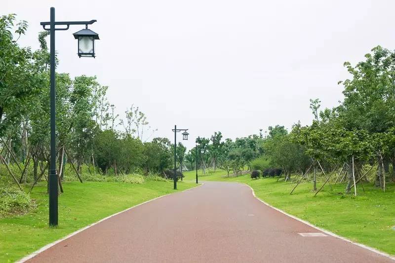 少女心美炸！大杭州竟然藏了条七彩跑道，柠檬黄、蒂芙尼蓝、墨色绿……现在去还能看到十里荷花……