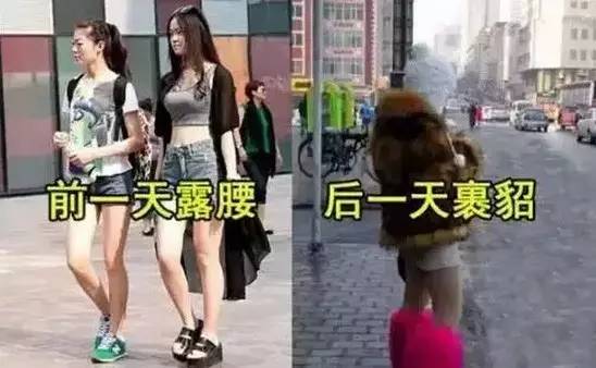 天气预报未来三天鹤壁,鹤壁41天天气