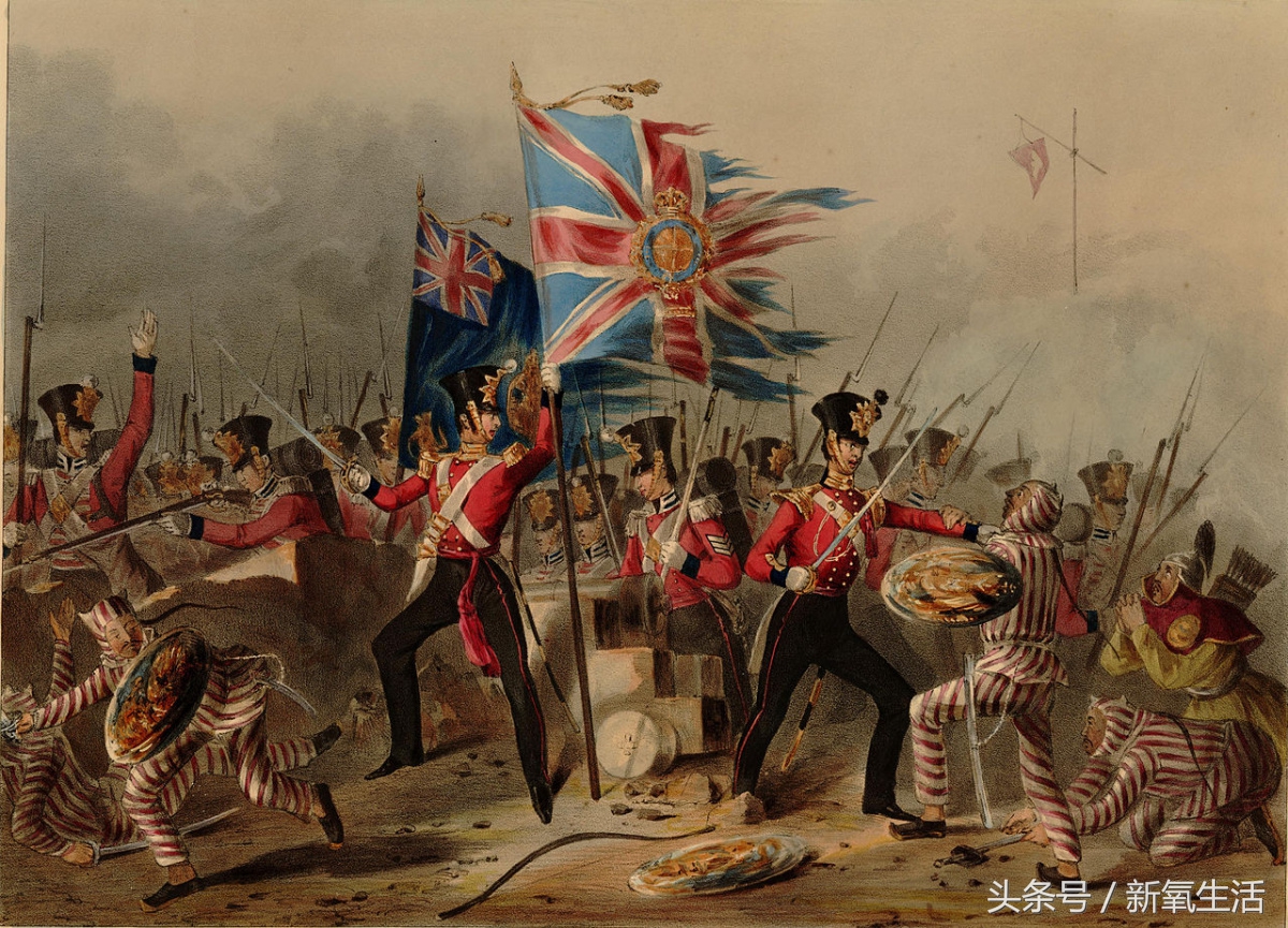 红毛指的是什么,红毛要怎么形容