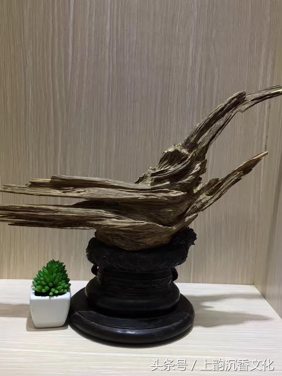 紫奇楠沉香的价格,广东奇楠沉香茶