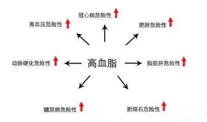 隐形杀手高血脂症,高血脂症到底是怎么形成的