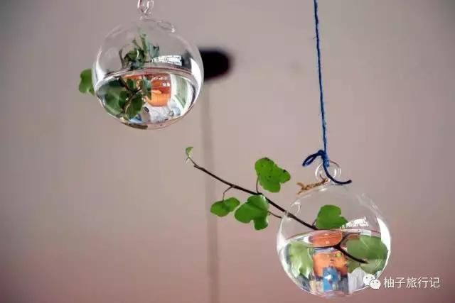 毕业旅行之丽江大理游,大理丽江毕业旅行