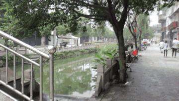 鱼丸鱼饼面,鱼丸鱼饼面线糊