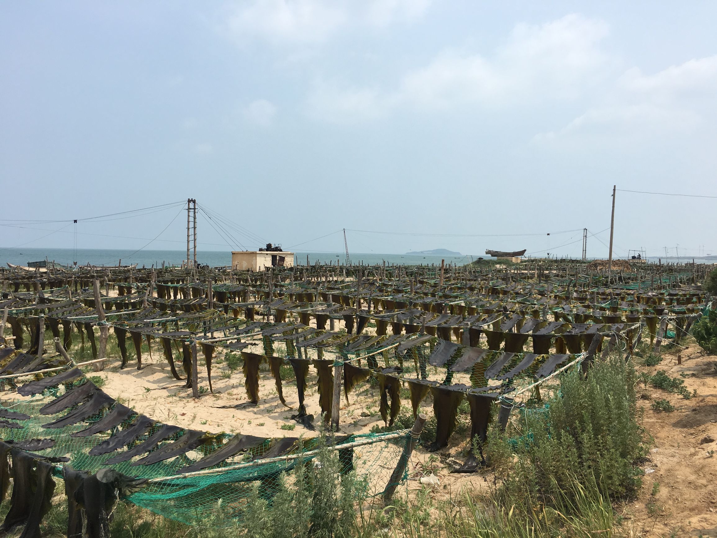 旅行的第88天,旅行第83天视频