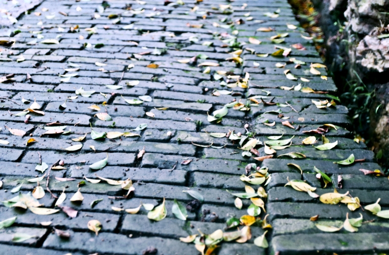 陪伴就是最长情的告白，周末，带儿子到佛山“小台湾”度个假