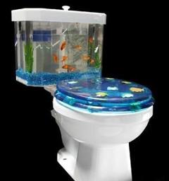 怎么正确选择马桶,正确选用马桶且省钱