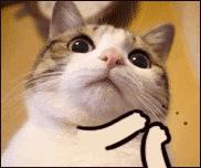 戴绿松石手串的功效是什么,不同的绿松石手串有什么区别