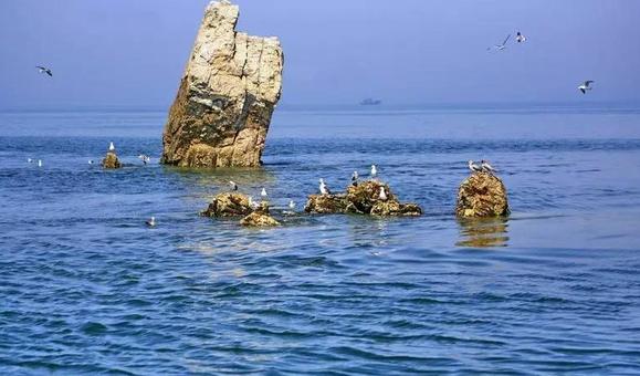 大连黑岛旅游区,大连黑岛值得去吗