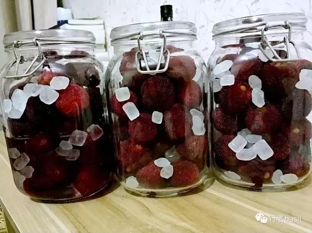 正宗杨梅酒的泡制方法,怎样酿制杨梅酒窍门