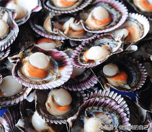 生蚝的营养价值有多高,生蚝的营养价值有多少