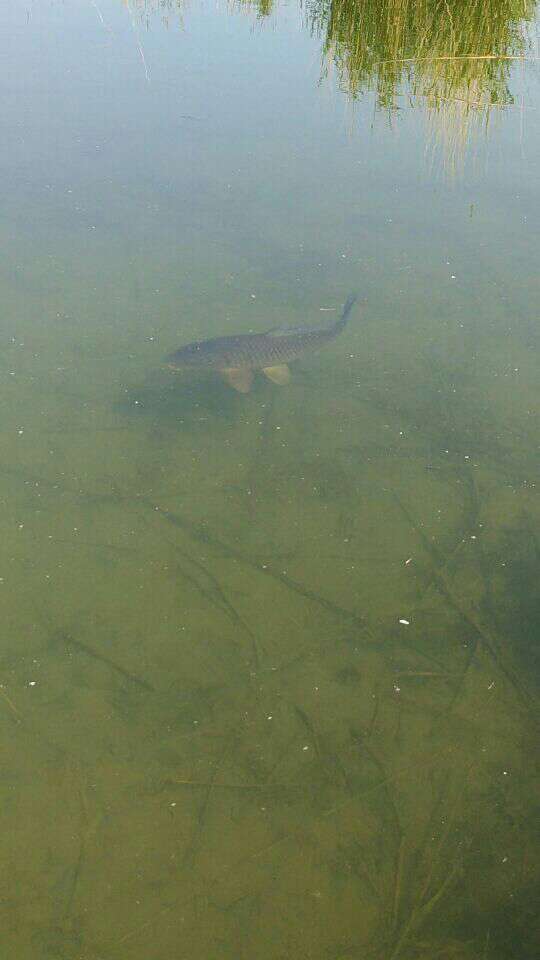 百姓钓鱼论坛plus专区,百姓钓鱼论坛官网