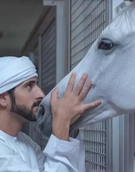 沙特最帅王子哈曼丹,阿联酋王子哈曼丹照片