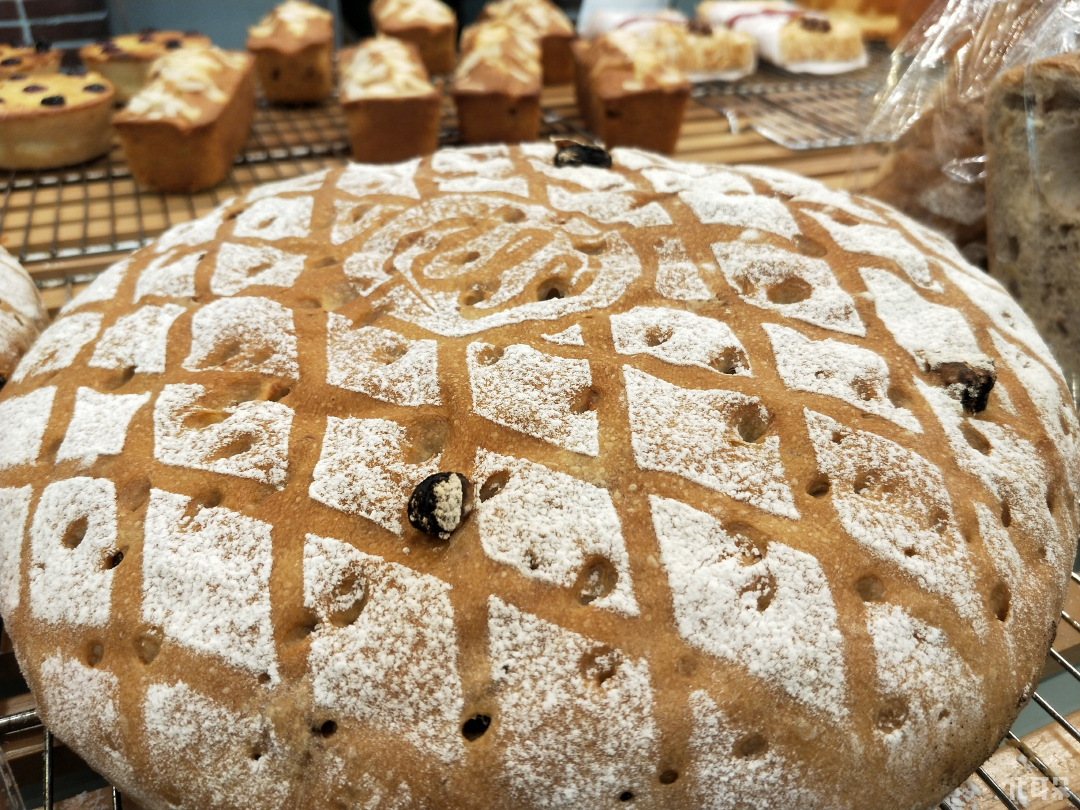 oppo人像模式景深,oppo变焦10倍拍照实况模式