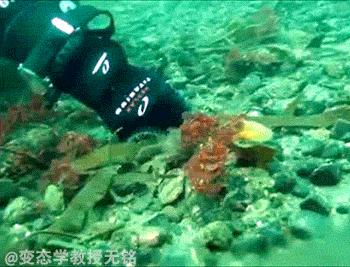 没有打火机怎么点烟的大神们,如何帅气的用打火机点烟