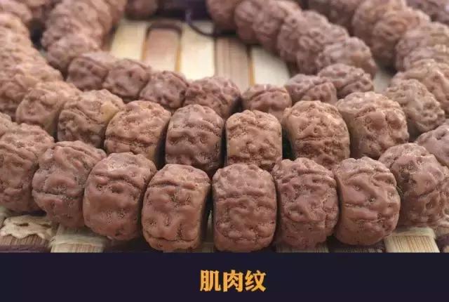 目前最火的小金刚,小金刚什么纹路值得拥有