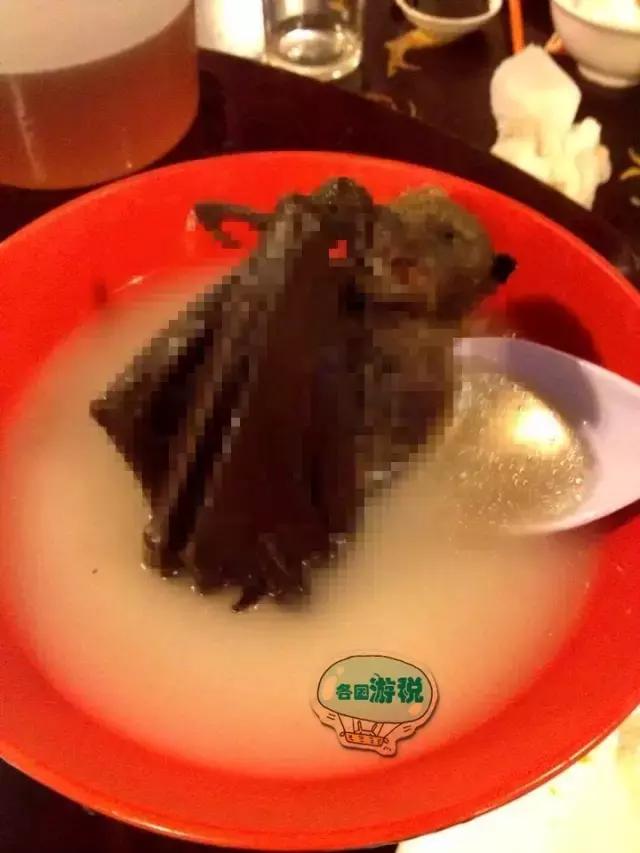 令人毛骨悚然的帕劳国家美食,去帕劳必吃的东西