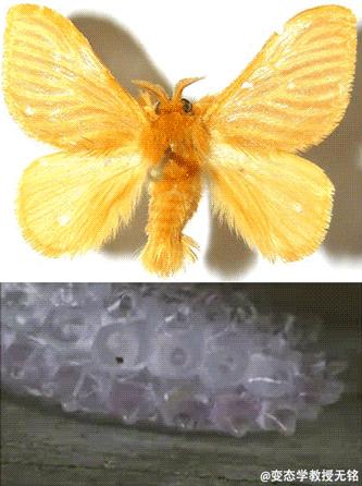 没有打火机怎么点烟的大神们,如何帅气的用打火机点烟