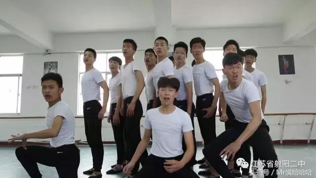 射阳二中2016年美术达本率怎么样,射阳二中本科录取率