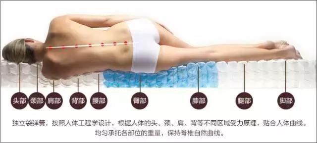 床垫中的弹簧你们了解多少,床垫内部弹簧名称
