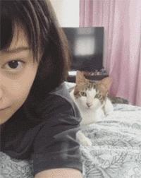 猫咪结扎之后需要注意什么,猫咪结扎前一定要打三联