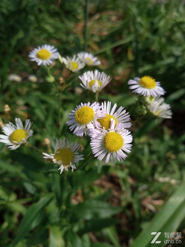 360n5s真实测评,从善如流还是从善如流
