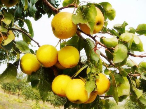 沈阳附近旅游攻略必玩的景点最新,沈阳旅游景点免门票的有哪些地方