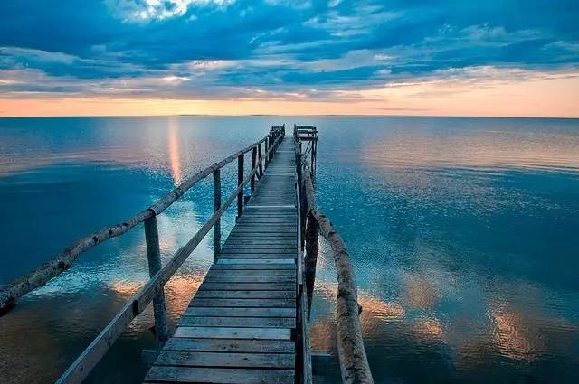 这个暑假来加拿大，有什么freestyle的新玩法？