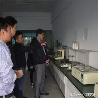 从a到z你选什么,从a到z的蜕变