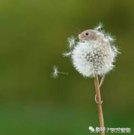 亲子互动手指谣,亲子互动手指谣小板凳