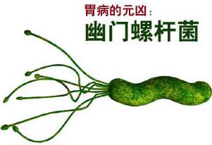 幽门螺旋杆菌食疗最好的方法,小孩感染幽门螺旋杆菌怎么食疗