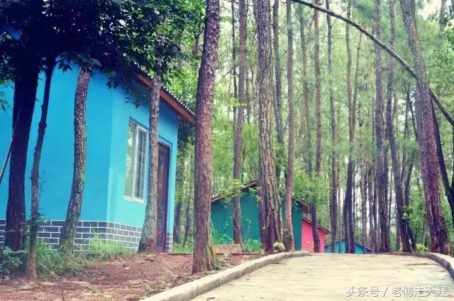 梁平适合夏天耍水凉快的地方,重庆梁平竹海旅游攻略