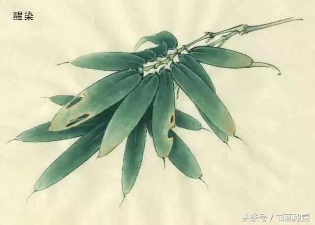 工笔画教学花卉,工笔画教学基础知识4