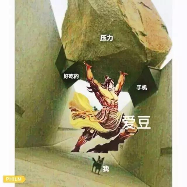 要不是腰软,怎么能把腿的劈这么开?