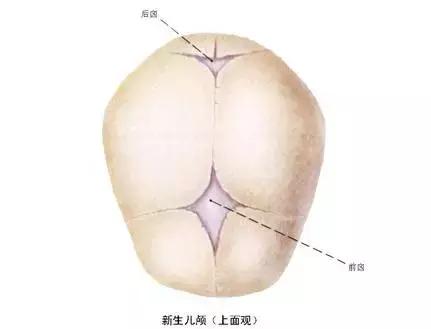 儿保体检有多坑,儿保体检准确么