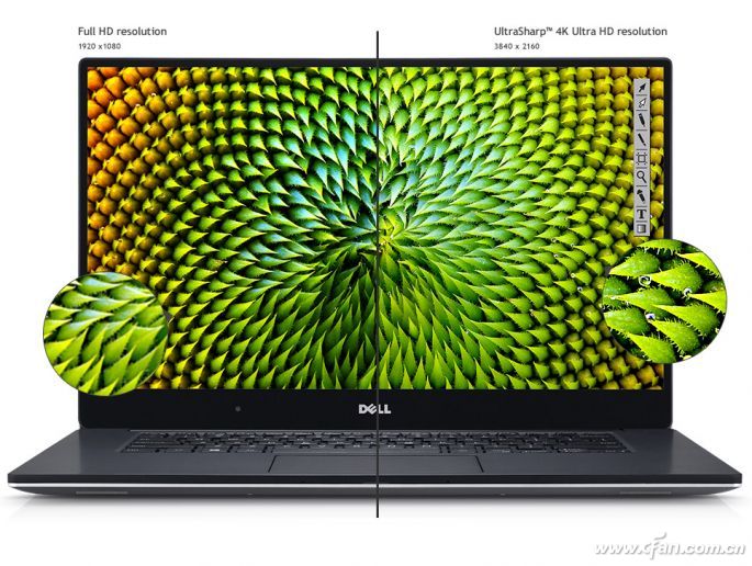 绗旇鏈睆骞曞彂灞曞彶,瑙傜湅5鍒嗛挓鍔╀綘鑴戞礊澶у紑