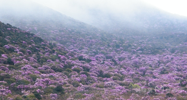 超详细！苍山的正确游玩方式——做一日清闲山里人
