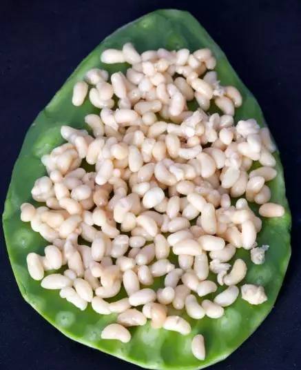 世界上10种奇葩食物你敢吃吗,全球十大奇葩美食