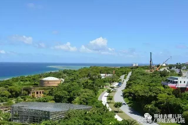 冲绳亲子游最强攻略,冲绳带娃旅游攻略