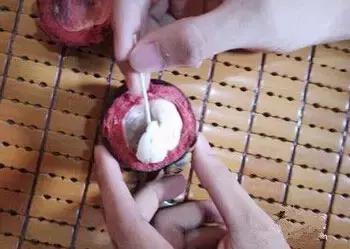 山竹的正确剥开方法,山竹正确剥开的方法