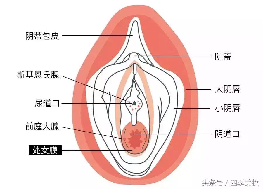 卫生棉条的好处和使用方法,卫生棉条的使用方法和技巧