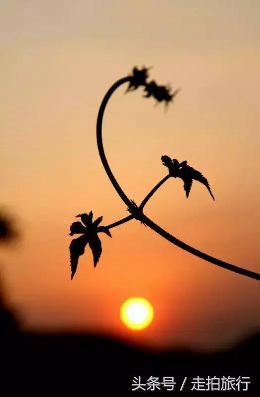 滁州有哪些地方可以下班去逛逛,滁州十大必去景点推荐