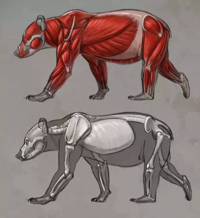 动画设计制作全过程简单,动画片制作教程