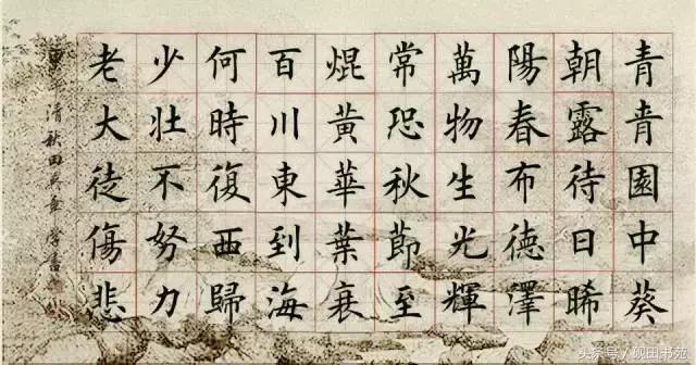 《每日一字》,每日一字平民