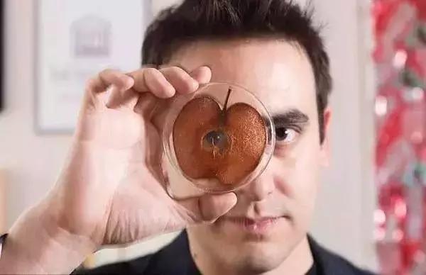 这位生物黑客教授竟然从苹果中培育出耳朵，功能与常人无异