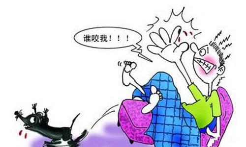 被老鼠屎污染的衣服怎么消毒,老鼠污染过的物品怎样消毒