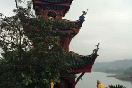 重庆各区必去的景点推荐,重庆的景点必游排名