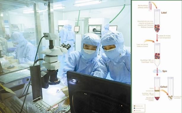 治愈糖尿病的最新突破视频,治愈糖尿病的最新突破